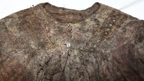 Gardai launch appeal following discovery of skeletal remains at construction site in Cork