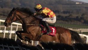 It's winners alright for Limerick racing connections