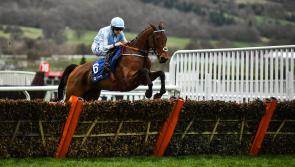 CHELTENHAM TIPS FOR DAY 1 OF THE 2021 FESTIVAL