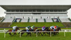 Green light for Limerick's live TV racing fixture