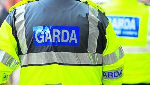 Five people arrested in relation to discovery of drugs worth over &euro;600,000