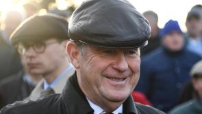 WATCH: Limerick owner JP McManus enjoys Cheltenham Festival success