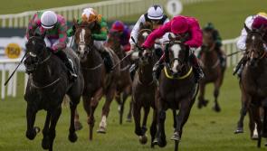 Limerick jockeys racking up the winners on the track