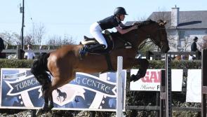 Askeaton teenager Robyn Moran taking showjumping world by storm