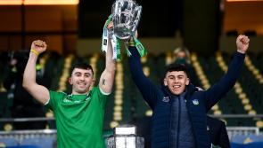 Limerick's Mary Immaculate College teams up with GPA on new scholarship scheme
