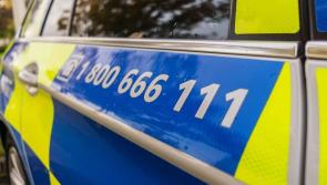 Gardai appeal for witnesses after 20-year-old dies in road traffic incident