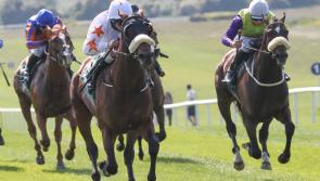 Winners alright for Limerick horse racing connections