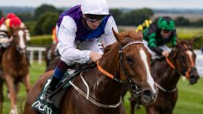 It's winners alright for Limerick racing connections