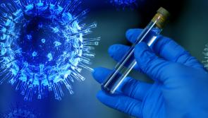 New study shows rapid spread of Delta variant in vaccinated people 