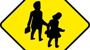 Simple sign needed for school on very busy Laois Offaly road