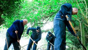 PICTURES: Garda&iacute; combing Kildare woodlands in search for Deirdre Jacob clues 