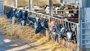 Govt TD opposes agriculture emission limits which will harm farming 