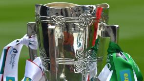 Big family fun emphasis on Limerick county hurling final day