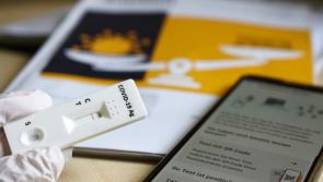 'Idiotic messaging' - American immunologist slams antigen testing advice from Donnelly