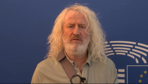 'Stop spreading fake news' - Irish MEP criticised after releasing controversial video