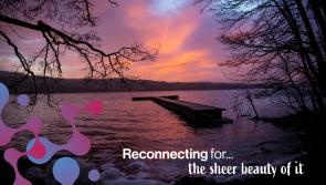 Reconnecting for the craic of it