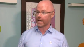 Minister for Health says scheme to subsidise antigen tests will come 'shortly'