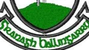 Granagh-Ballingarry see off Knockaderry to claim Limerick Junior B football crown