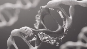 EU may stop air travel to southern Africa due to fears of new variant B.1.1.529