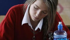 Leaving Certificate fails to prepare students for future challenges, committee told