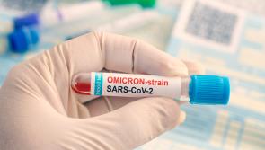 Isolation period for Omicron cases and contacts may change to five days, reports indicate