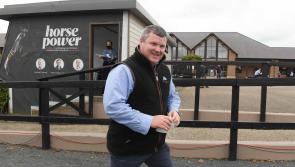 Trainer Gordon Elliott secures seven winners in a row in Navan masterclass 