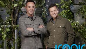 'Evening Prime Minister' - Ant and Dec throw digs at Boris Johnson during I'm a Celebrity programme