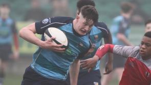 Limerick players named in Ireland underage rugby squads for Christmas camps