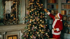 Green Fingers: Oh Christmas tree.. how do I care for thee