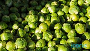 FOOD: Here's why Brussels sprouts are not just for Christmas