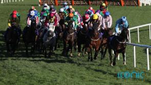 Leopardstown track watered ahead of Christmas festival racing