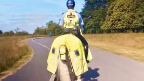 Garda&iacute; and RSA issue advice to motorists about horses on roads
