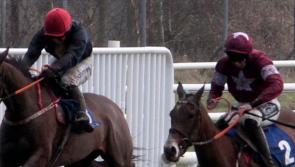 WATCH: Green light for final day of Limerick's Christmas Racing Festival