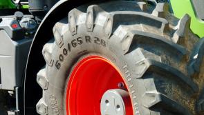 'A substantial decline' - Almost 30 Irish people died in work-related incidents in 2022