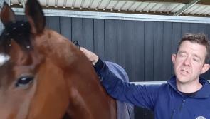 WATCH: Ballingarry trainer scores impressive  success at Naas Racecourse