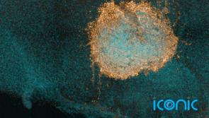 White blood cells can mount immune response against Omicron, new study finds