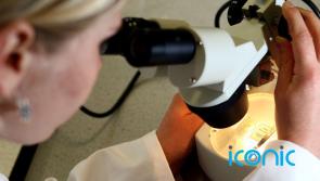 'Risky' virology research could have irreversible consequences for Earth, says UK paper