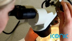 Late GAA player&rsquo;s trust backs NUIG research into cure for sudden adult death syndrome