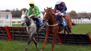 Stayers&rsquo; Hurdle hope 'Buzz' will undergo the next stage of his rehabilitation next week