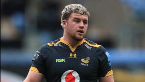 Wasps' Brad Shields reckons &lsquo;bruiser&rsquo; Alfie Barbeary firmly in England Six Nations mix