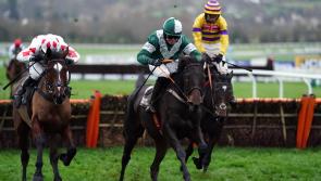 Albert Bartlett favourite Blazing Khal to miss Cheltenham