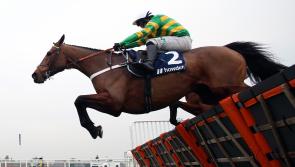 Champ goes on trial for Cheltenham this weekend