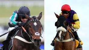 Altior and Native River to parade at Newbury