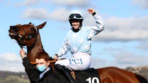 Honeysuckle headlines all-star cast for Dublin Racing Festival