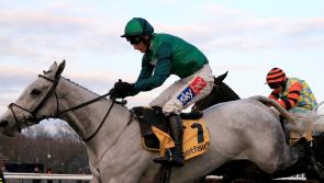 Twiston-Davies anticipating bold Bristol show in National Trial