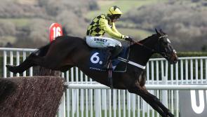 Henderson not taking anything for granted with Shishkin in eagerly-awaited rematch