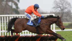 &lsquo;All roads&rsquo; lead to Cheltenham for Adagio after Wincanton return