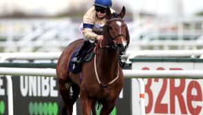 Outbox team eyeing international campaign