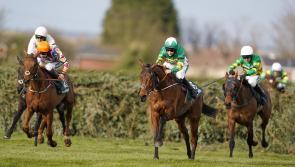 Naas option appeals to Walsh for Any Second Now