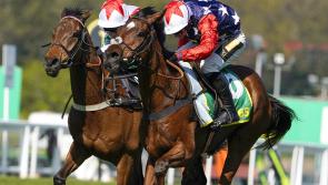 Williams full of hope for three-strong challenge on Kempton feature